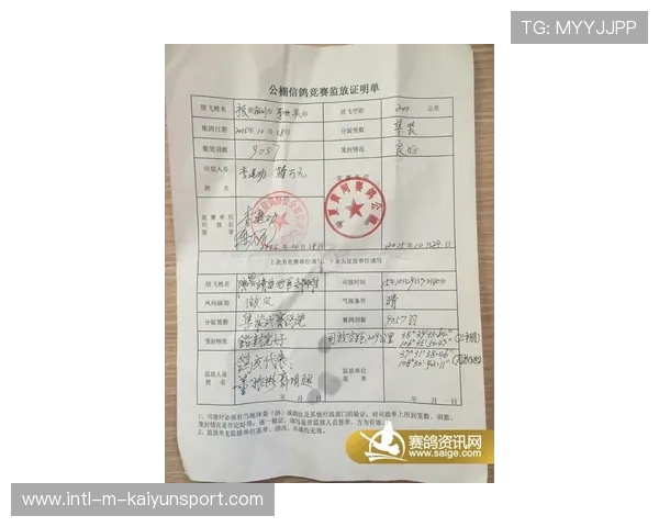 比赛日场馆内遗失证件临时证明办理流程与时限，参加比赛证明